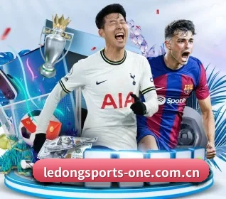 乐动体育官方网站 APP - LDSPORTS